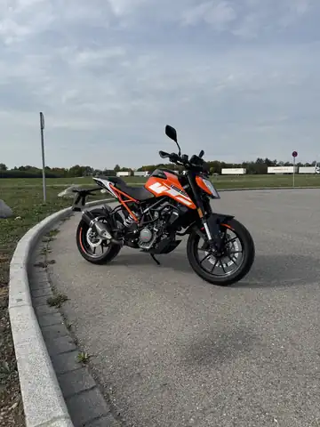 Riedel Fahrschule: Foto 3