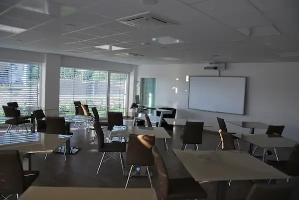 Nico's Fahrschule: Foto 5