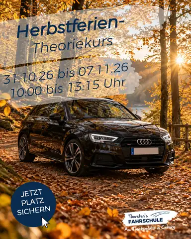 Thorsten's Fahrschule: Foto 2