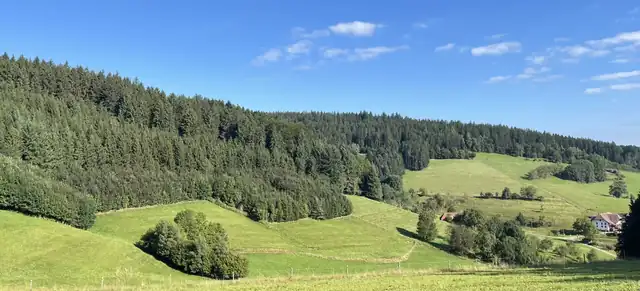 Fahrschule Black Forest: Foto 1