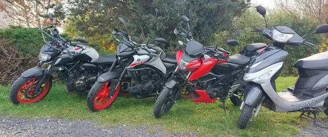 Fahrschule mit Bernd: Foto 3
