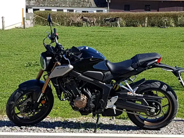 Fahrschule Peter Blümel: Foto 4