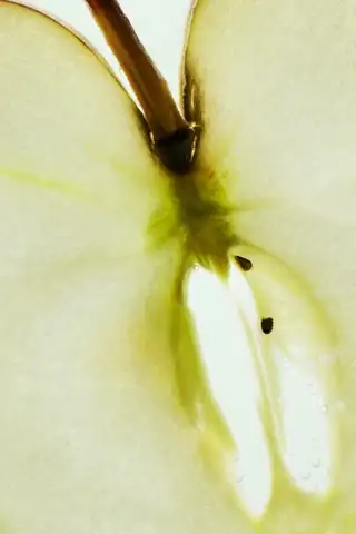 Reza’s Fahrschule: Foto 3