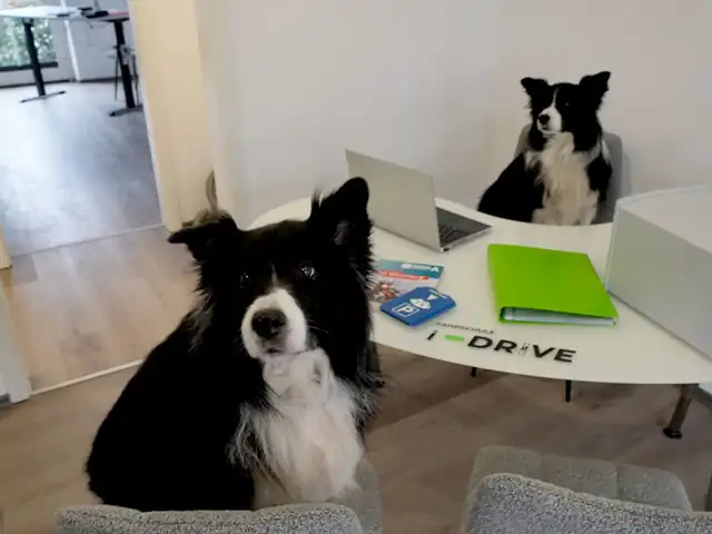 Fahrschule i-drive GmbH: Foto 2