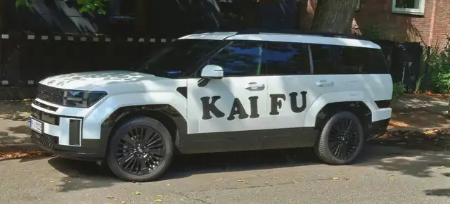 Kaifu Fahrschule: Foto 2