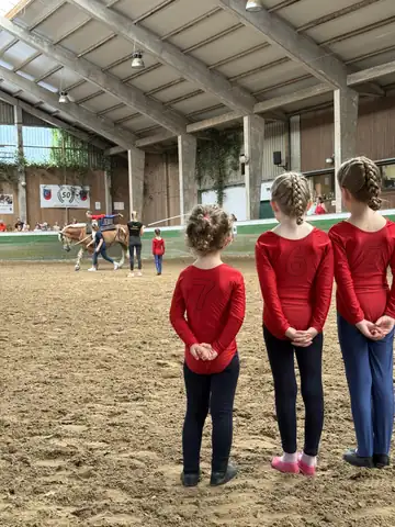 Reit- und Fahrschule Oldenburg: Foto 3