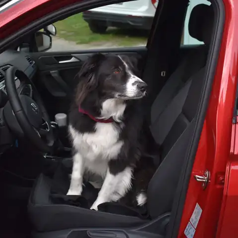 Fahrschule i.DRIVE: Foto 4