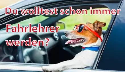 Moritz Markus Dozent für Kraftfahrer Weiterbindung nach BKrFQG: Foto 2