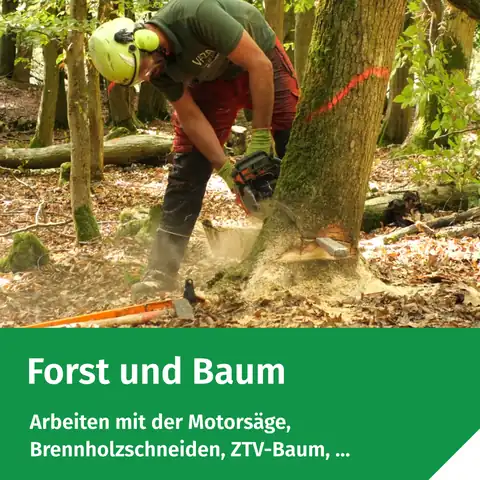 DEULA Rheinland-Pfalz GmbH: Foto 1