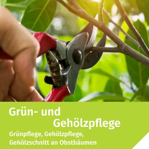 DEULA Rheinland-Pfalz GmbH: Foto 2