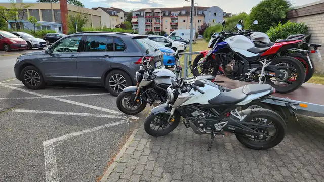 Deich Driver - Die Fahrschule: Foto 4