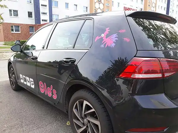 Ole's Fahrschule in Rostock: Foto 4