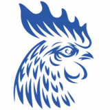 Logo Fahrschule Hahn
