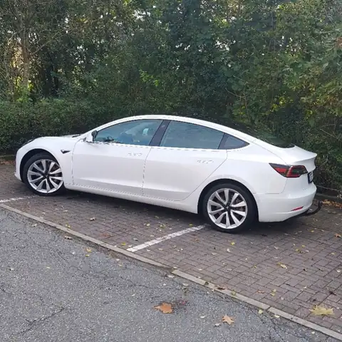 Umwelt Fahrschule, Inh.M.Fischer: Foto 4
