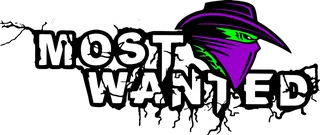 Logo Most Wanted Fahrschule