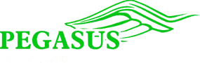 Logo Pegasus