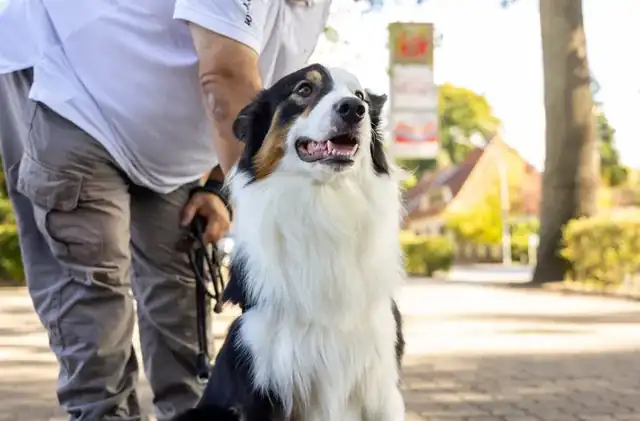 BOCK AUF FAHREN Die etwas andere Fahrschule: Foto 4
