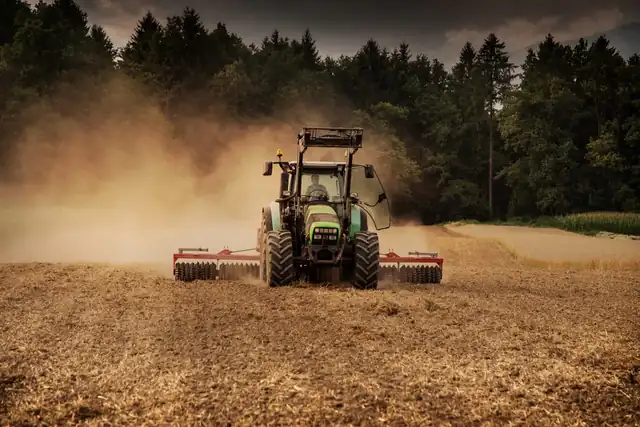 Fahrschule Delta Drive GmbH Hänigsen: Foto 4