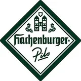 Logo Fahrschule Hachenberger